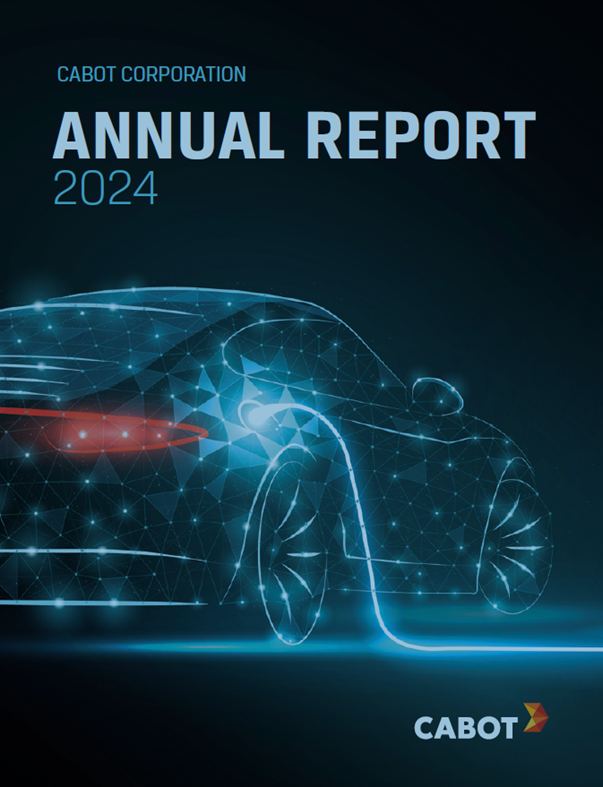 2024 Annual Report